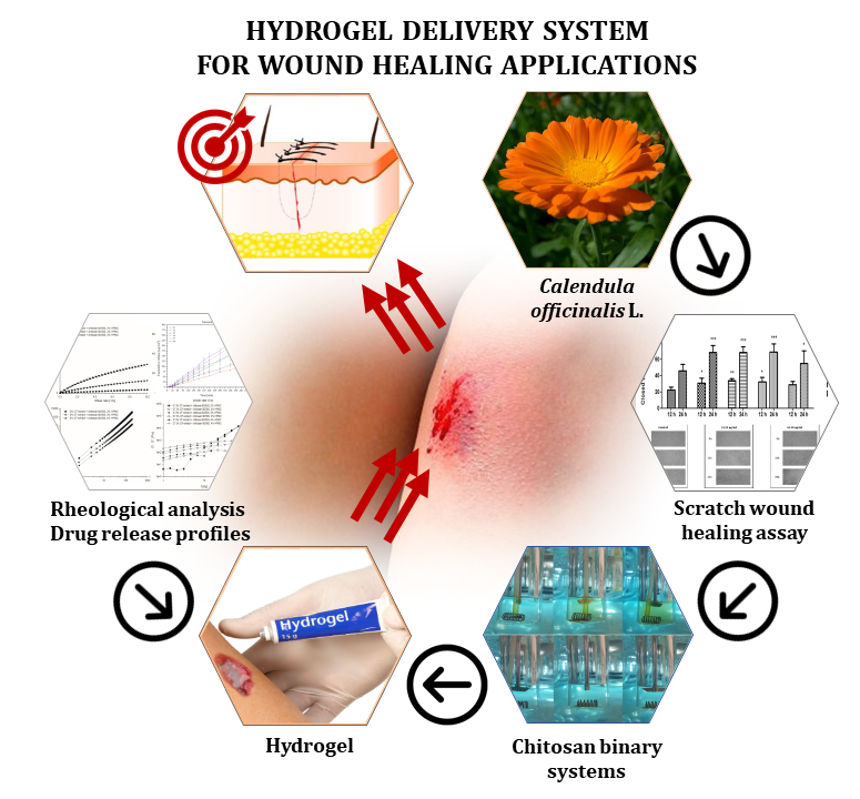 Calendula Officinalis Mother Tincture: Uses, Benefits, Dosage.