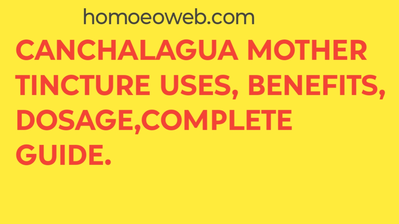 Canchalagua Mother Tincture Uses, Benefits, Dosage,Complete Guide.