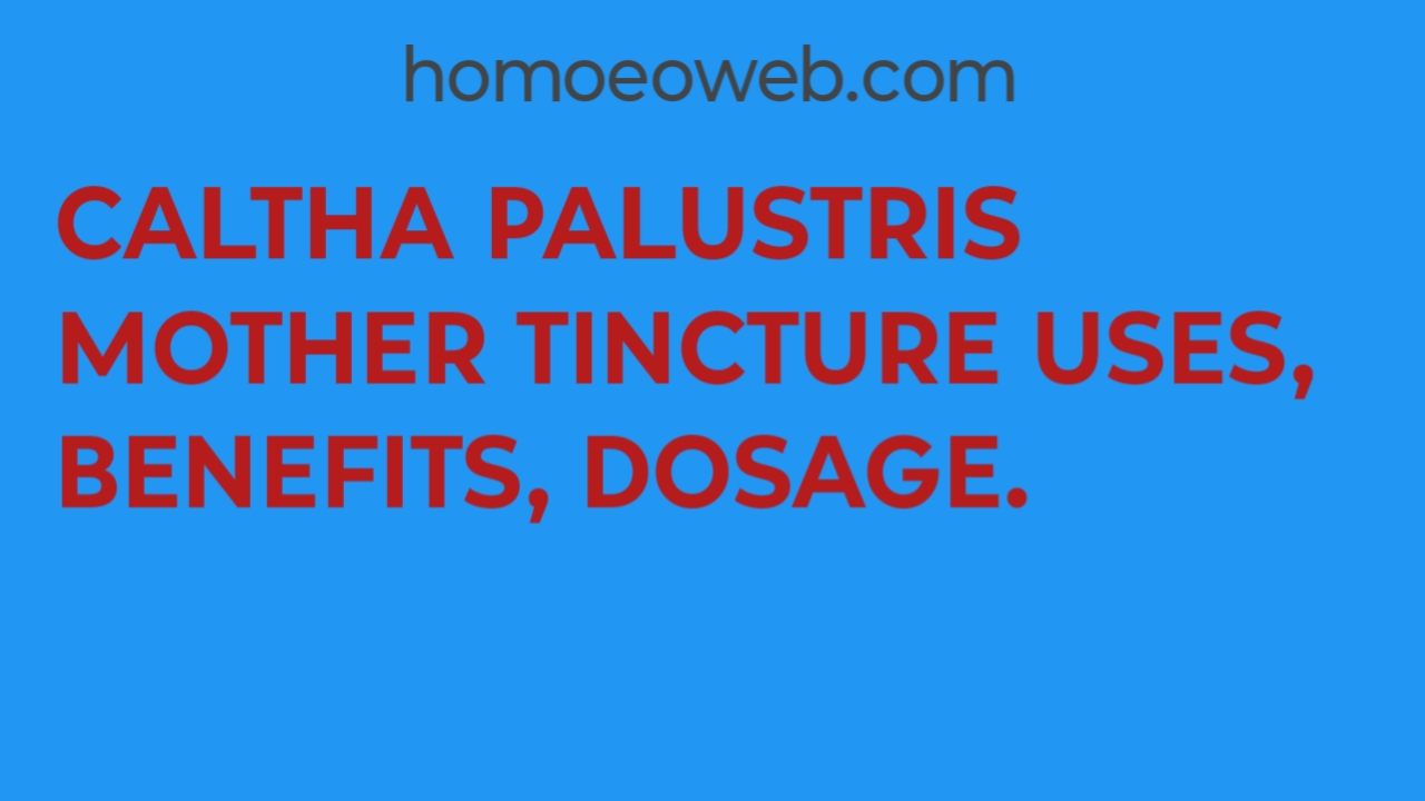 Caltha Palustris Mother Tincture Uses, Benefits, Dosage.